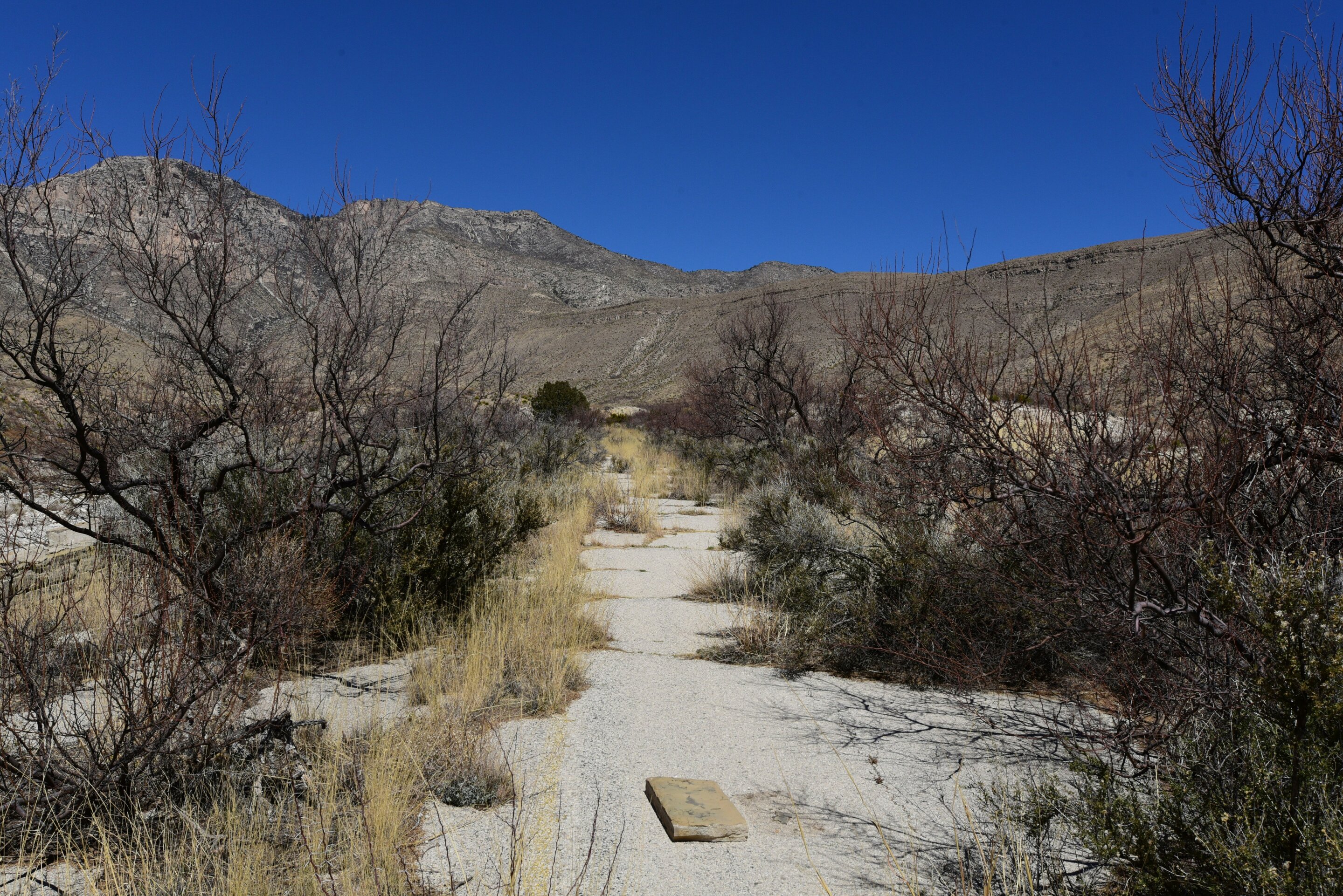 Drone Lidar Surveys Of Abandoned Roads Reveal Long Term Debris Flow Hazards